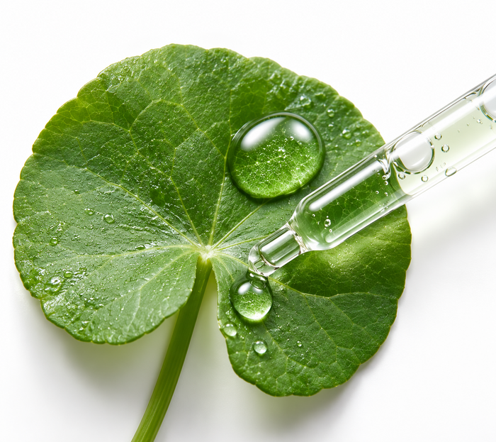 Centella Asiatica Extract